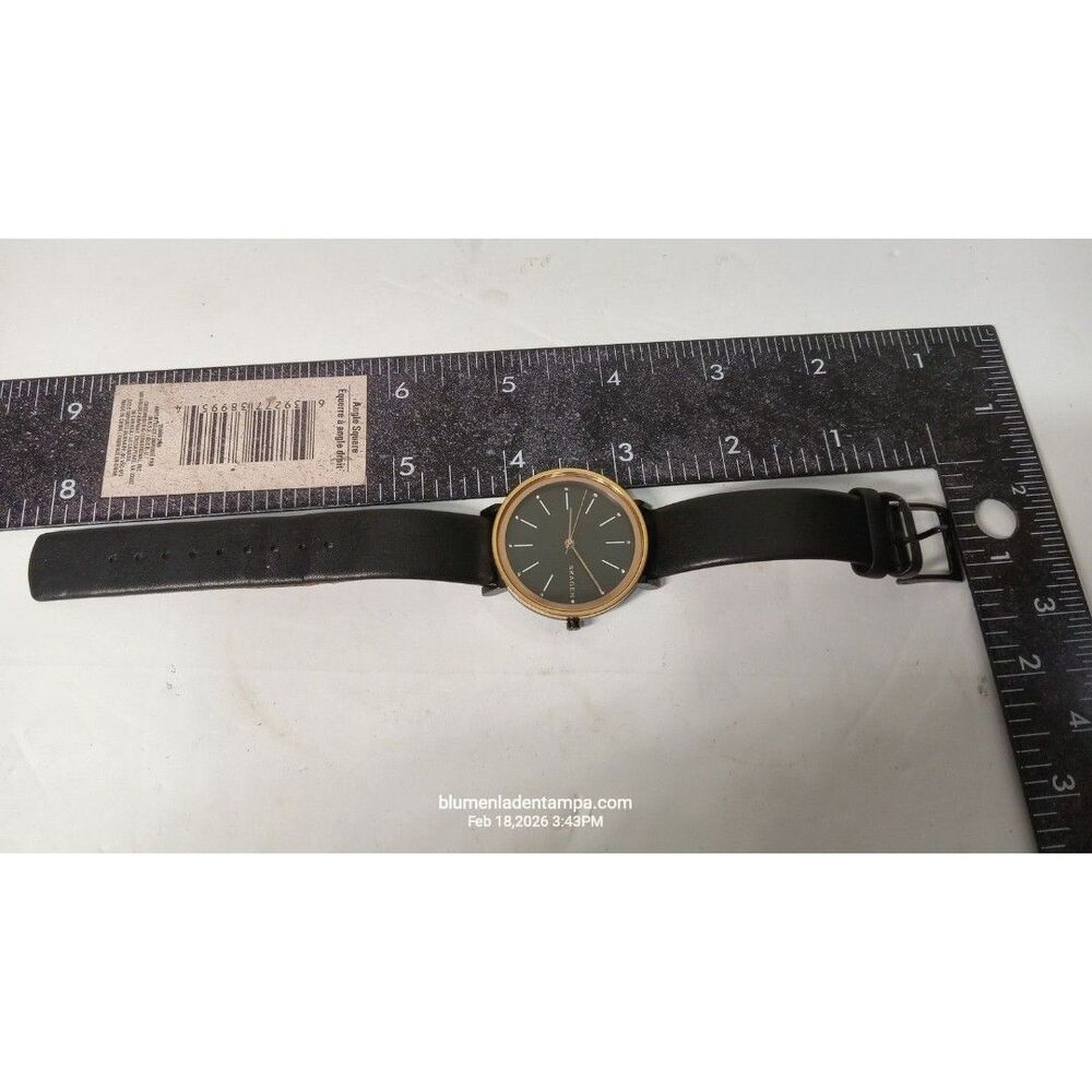 Skagen Women's Watch 34mm Gold Gray Dial Black Leather SKW2490 Quartz Dress